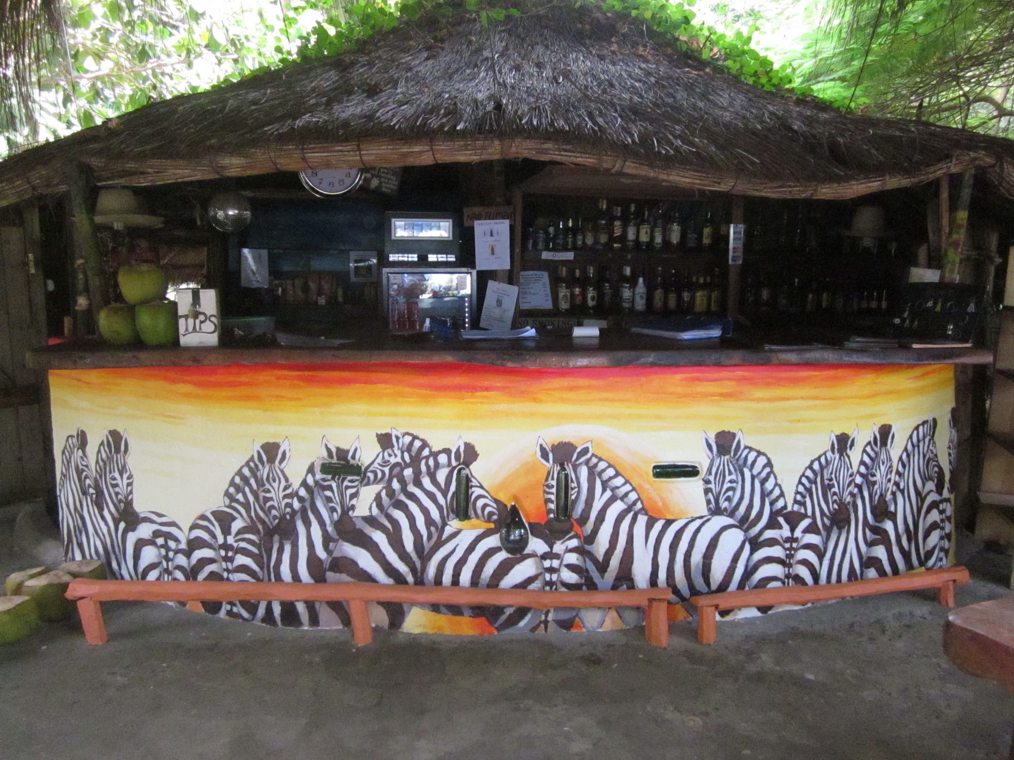 Baobab Beach Lodge And Backpackers ビランクロス エクステリア 写真