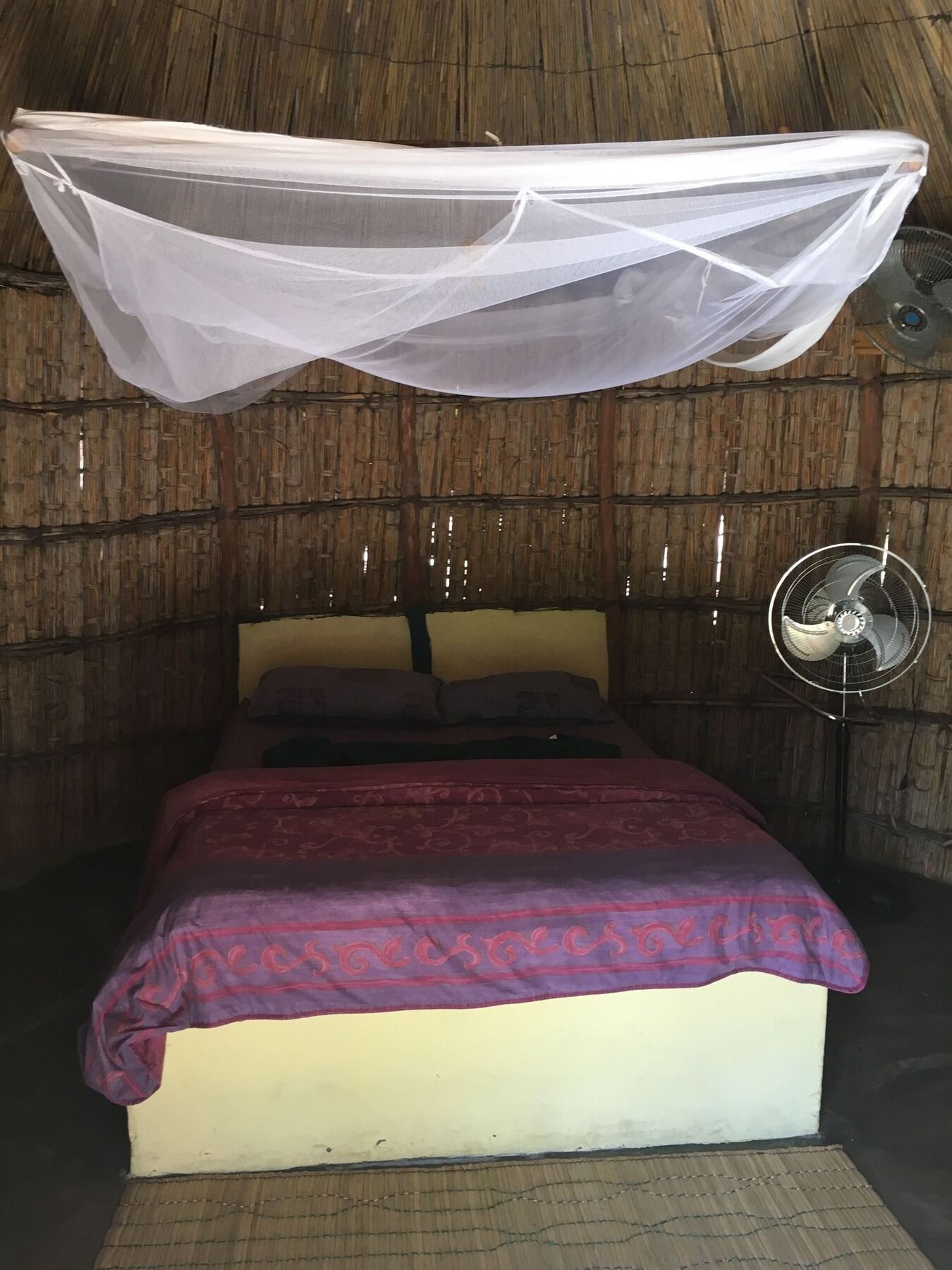 Baobab Beach Lodge And Backpackers ビランクロス エクステリア 写真