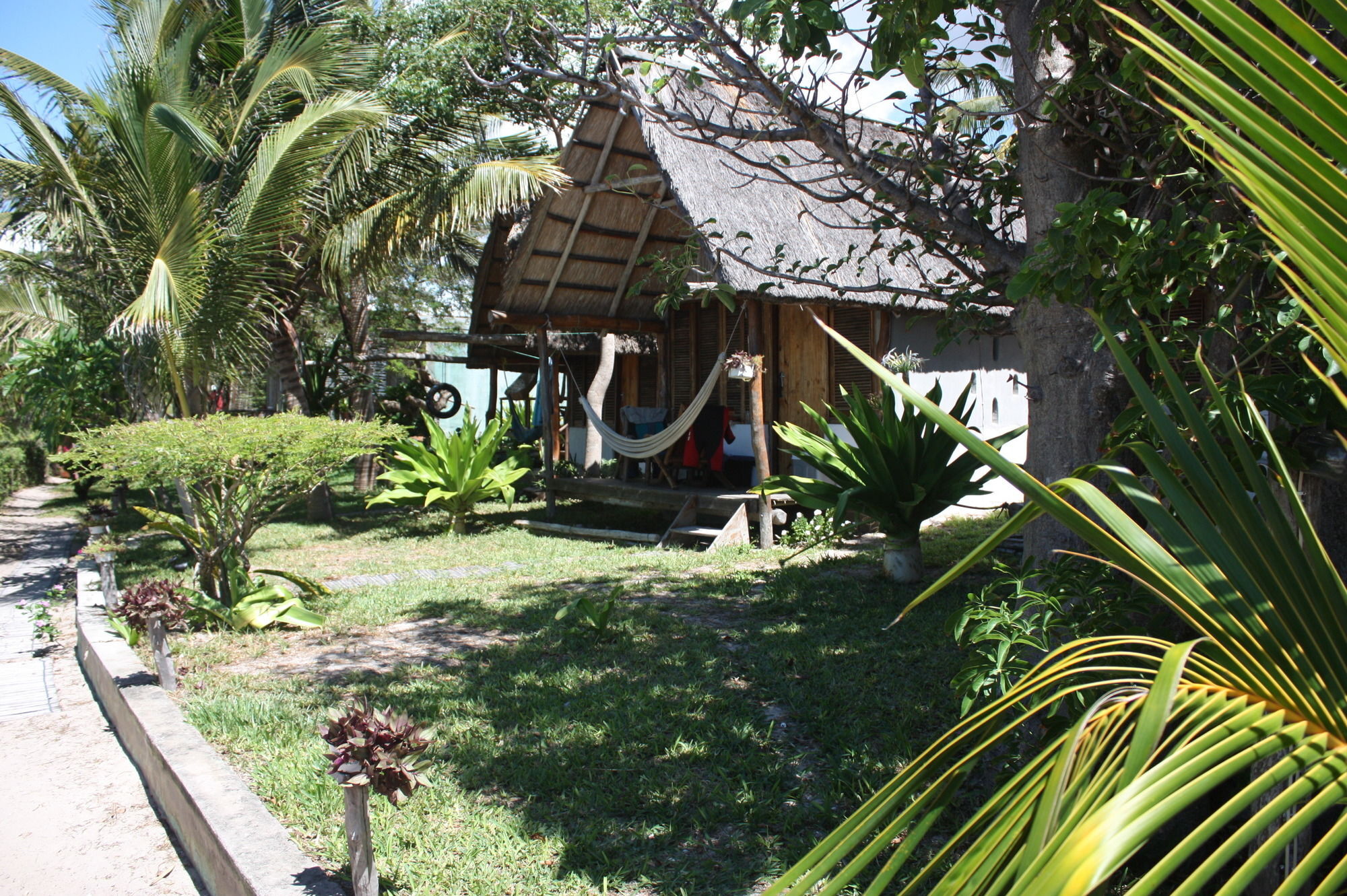 Baobab Beach Lodge And Backpackers ビランクロス エクステリア 写真