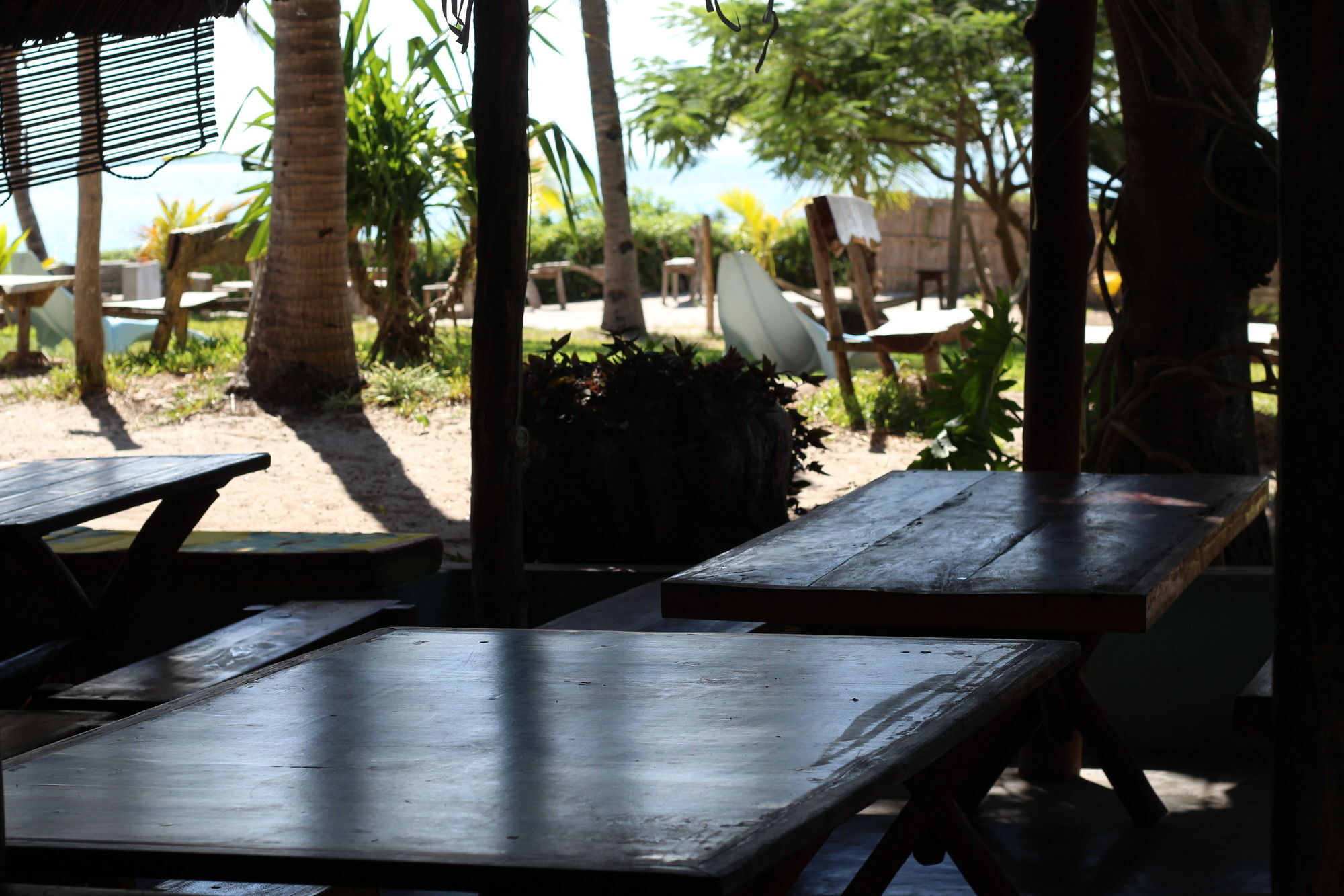 Baobab Beach Lodge And Backpackers ビランクロス エクステリア 写真