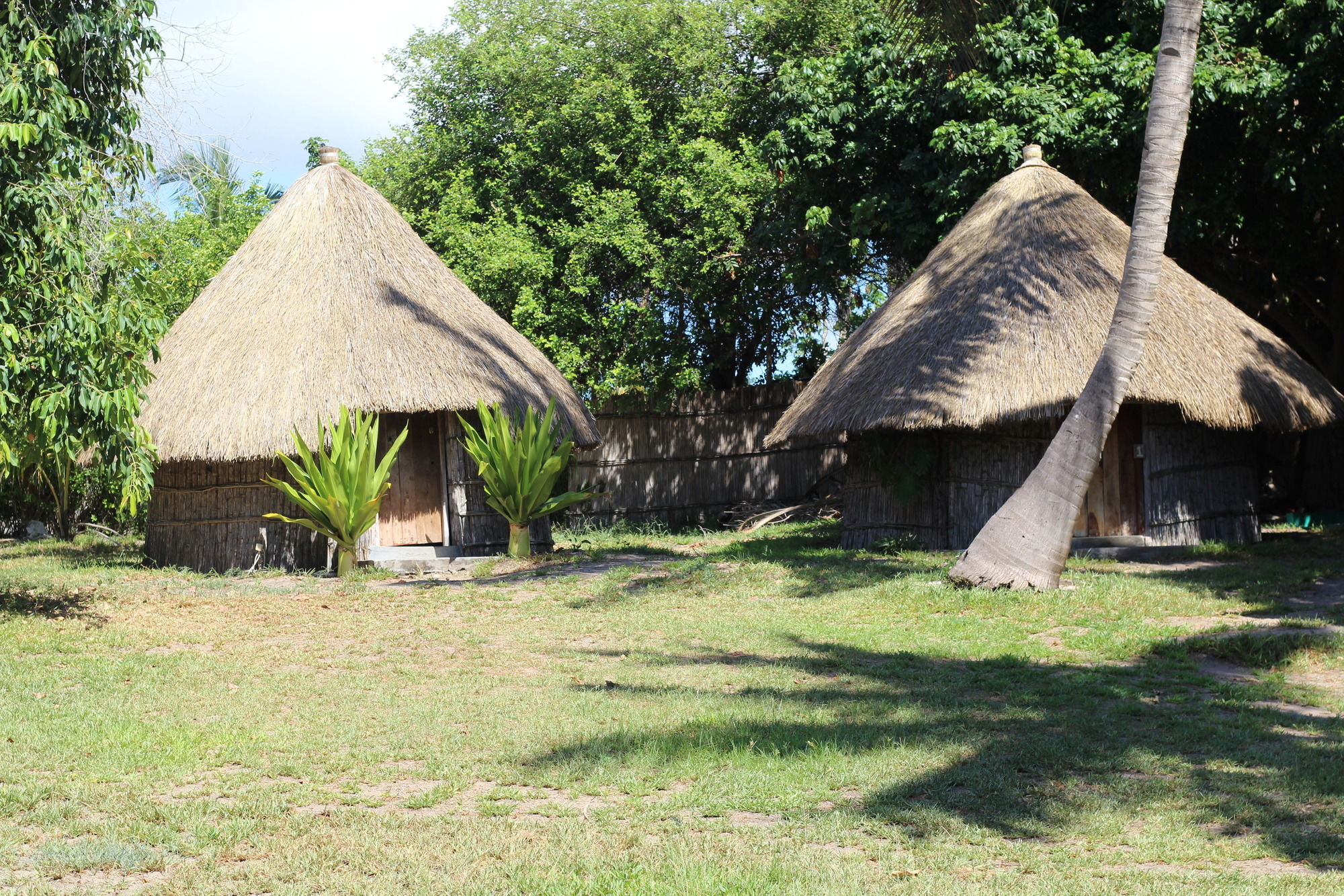 Baobab Beach Lodge And Backpackers ビランクロス エクステリア 写真